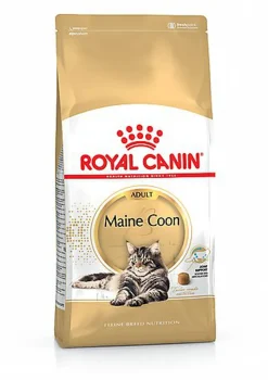 Royal Canin - Croquettes Maine Coon pour Chat Adulte - 4Kg