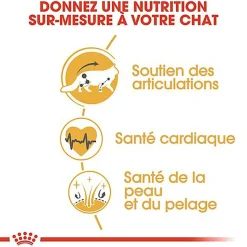 Royal Canin - Croquettes Maine Coon pour Chat Adulte - 4Kg