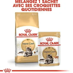 Royal Canin - Croquettes Maine Coon pour Chat Adulte - 4Kg