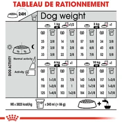 Royal Canin - Croquettes MINI URINARY CARE PETIT Pour Chien