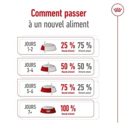 Royal Canin - Croquettes MEDIUM ADULT 7 POUR CHIEN DE +7 ANS - 10KG