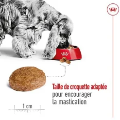 Royal Canin - Croquettes MEDIUM ADULT 7 POUR CHIEN DE +7 ANS - 10KG