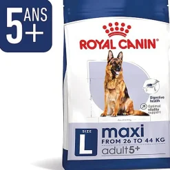 Royal Canin - Croquettes Maxi Adult 5+ pour Chien