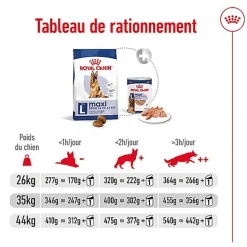 Royal Canin - Croquettes Maxi Adult 5+ pour Chien