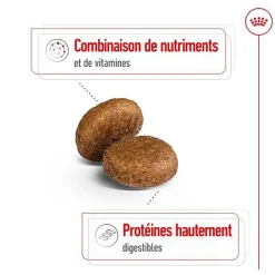 Royal Canin - Croquettes Maxi Adult 5+ pour Chien