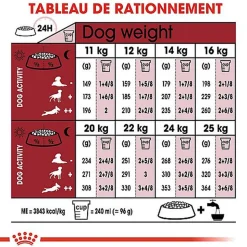 Royal Canin - Croquettes Medium Adult pour Chien