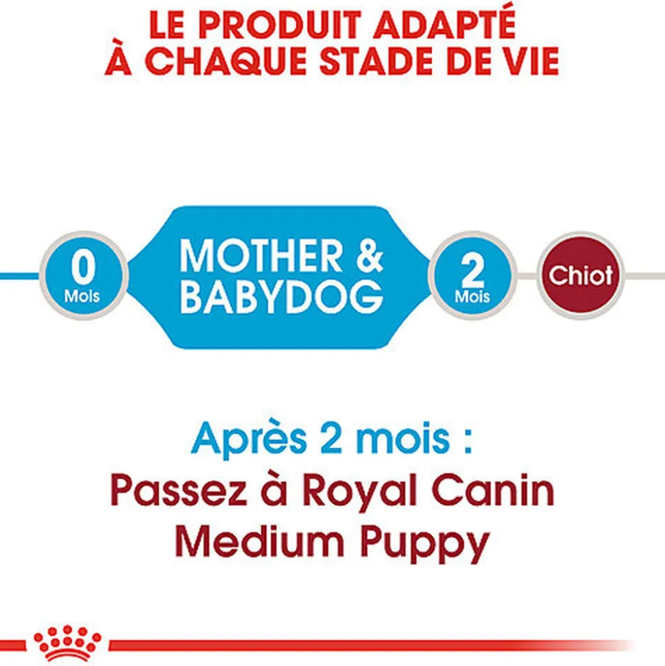 Royal Canin - Croquettes Medium Starter Mother & Babydog pour Chiot