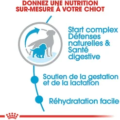 Royal Canin - Croquettes Medium Starter Mother & Babydog pour Chiot