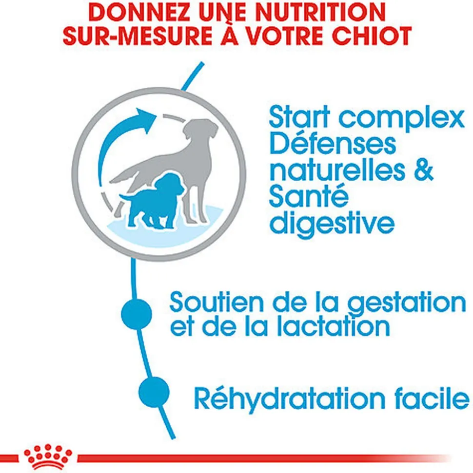 Royal Canin - Croquettes Medium Starter Mother & Babydog pour Chiot