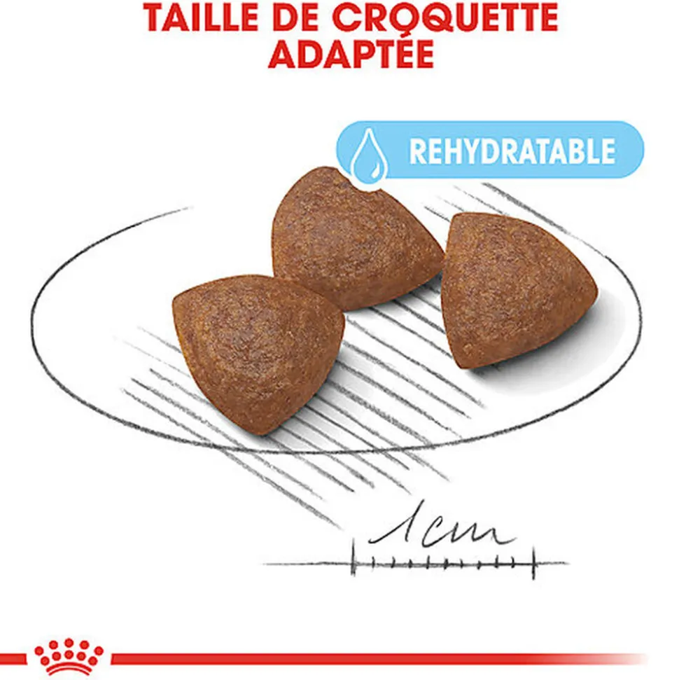 Royal Canin - Croquettes Medium Starter Mother & Babydog pour Chiot