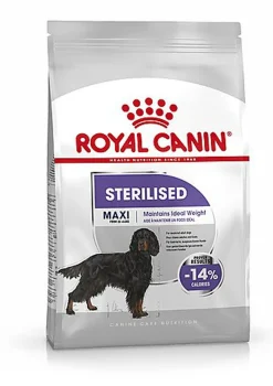 Royal Canin - Croquettes Maxi Adult Sterilised pour Chien