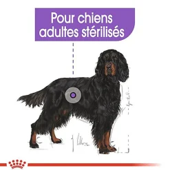 Royal Canin - Croquettes Maxi Adult Sterilised pour Chien