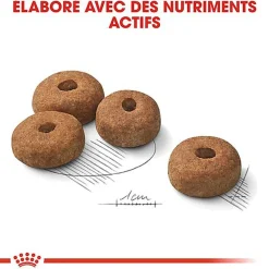 Royal Canin - Croquettes Maxi Adult Sterilised pour Chien