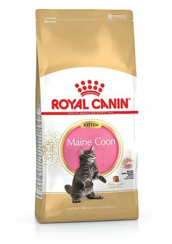 Royal Canin - Croquettes Maine Coon Kitten pour Chaton