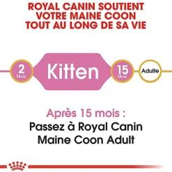 Royal Canin - Croquettes Maine Coon Kitten pour Chaton