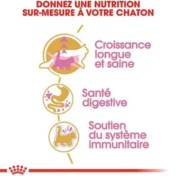 Royal Canin - Croquettes Maine Coon Kitten pour Chaton