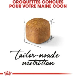 Royal Canin - Croquettes Maine Coon Kitten pour Chaton