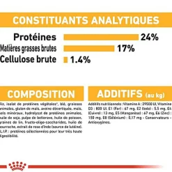 Royal Canin - Croquettes Medium Dermacomfort pour Chien