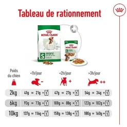 Royal Canin - Croquettes Mini Adult pour Chien de Petite Taille