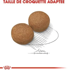 Royal Canin - Croquettes Maxi Adult pour Chiens de Grande Taille
