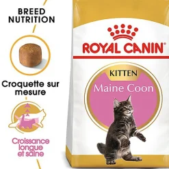Royal Canin - Croquettes Maine Coon Kitten pour Chaton
