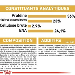 Royal Canin - Croquettes Maine Coon Kitten pour Chaton