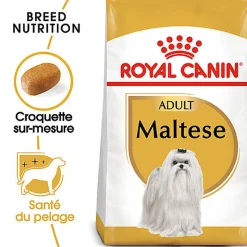 Royal Canin - Croquettes Maltese Adult Bichon Maltais pour Chiens - 1,5Kg