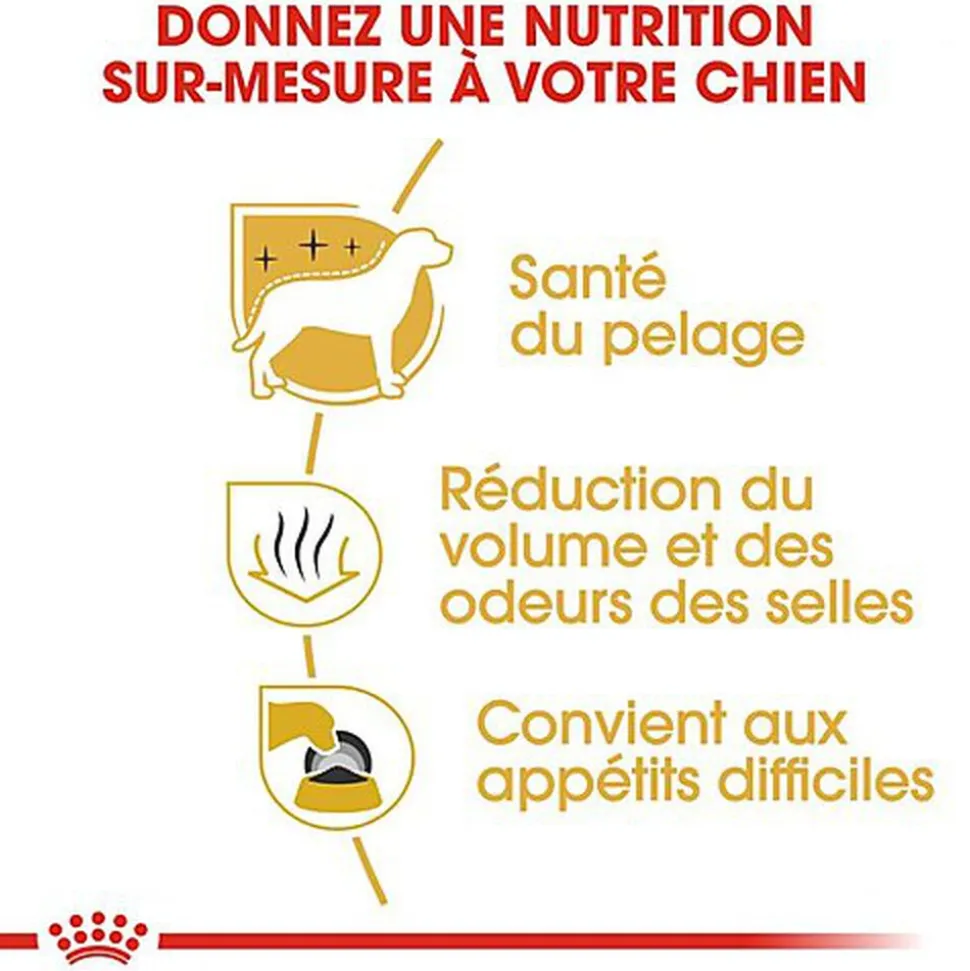 Royal Canin - Croquettes Maltese Adult Bichon Maltais pour Chiens - 1,5Kg