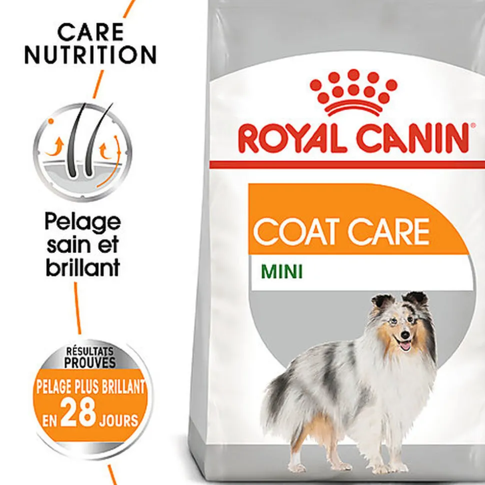 Royal Canin - Croquettes MINI COAT CARE PETIT CHIEN - 3KG