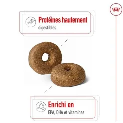 Royal Canin - Croquettes Maxi Ageing 8+ pour Chien Senior