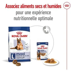 Royal Canin - Croquettes Maxi Ageing 8+ pour Chien Senior