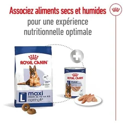 Royal Canin - Croquettes Maxi Ageing 8+ pour Chien Senior