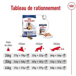Royal Canin - Croquettes Maxi Ageing 8+ pour Chien Senior