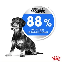 Royal Canin - Croquettes Mini Light Weight Care pour Chien
