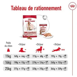 Royal Canin - Croquettes Medium Adulte 7+ pour Chien