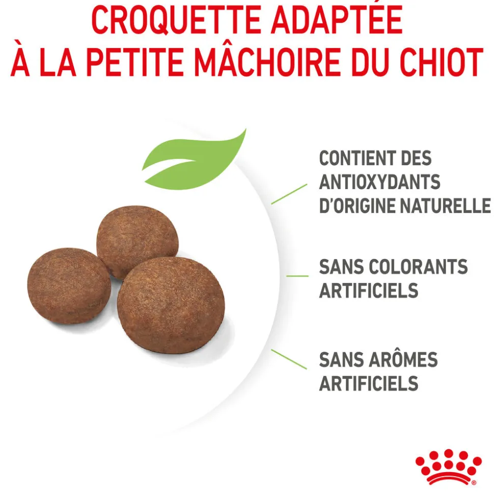Royal Canin - Croquettes Medium Puppy pour Chiot de 2 à 12 mois