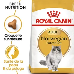 Royal Canin - Croquettes Norwegian Adult pour Chat