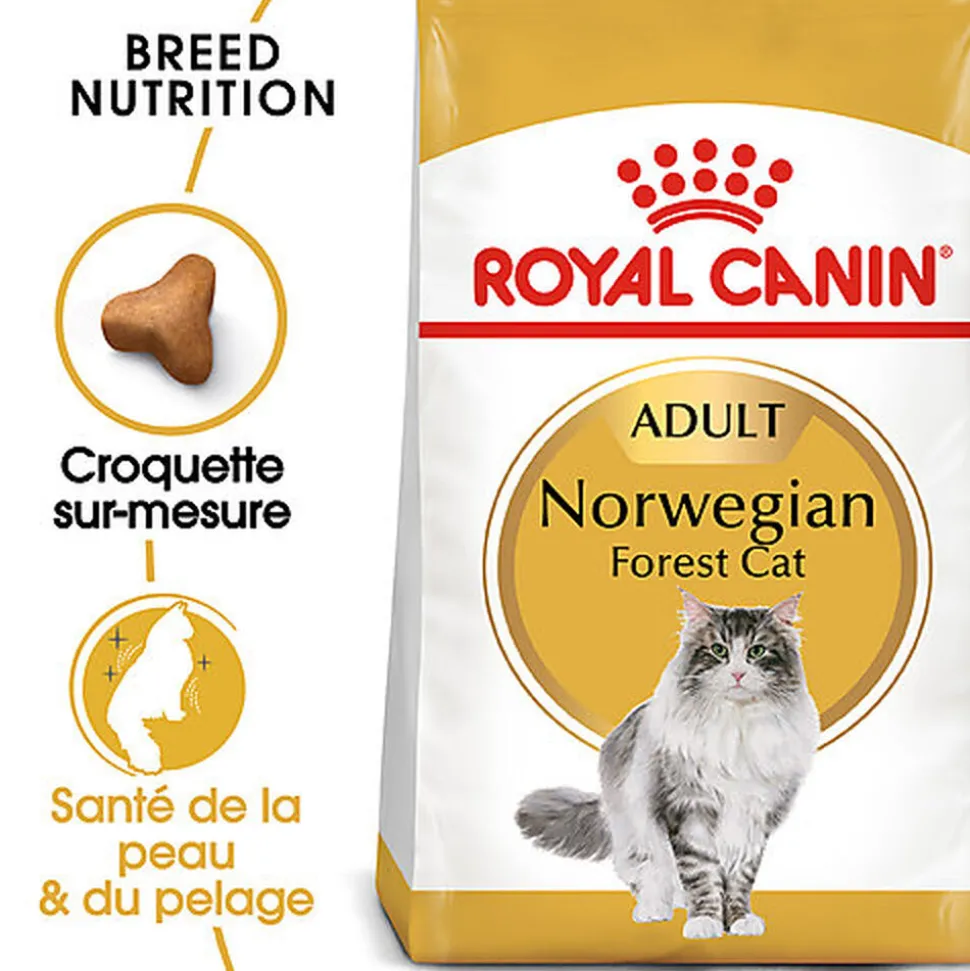Royal Canin - Croquettes Norwegian Adult pour Chat