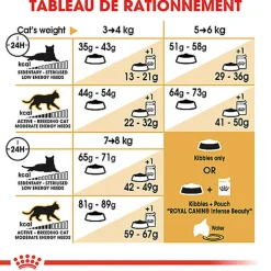 Royal Canin - Croquettes Norwegian Adult pour Chat