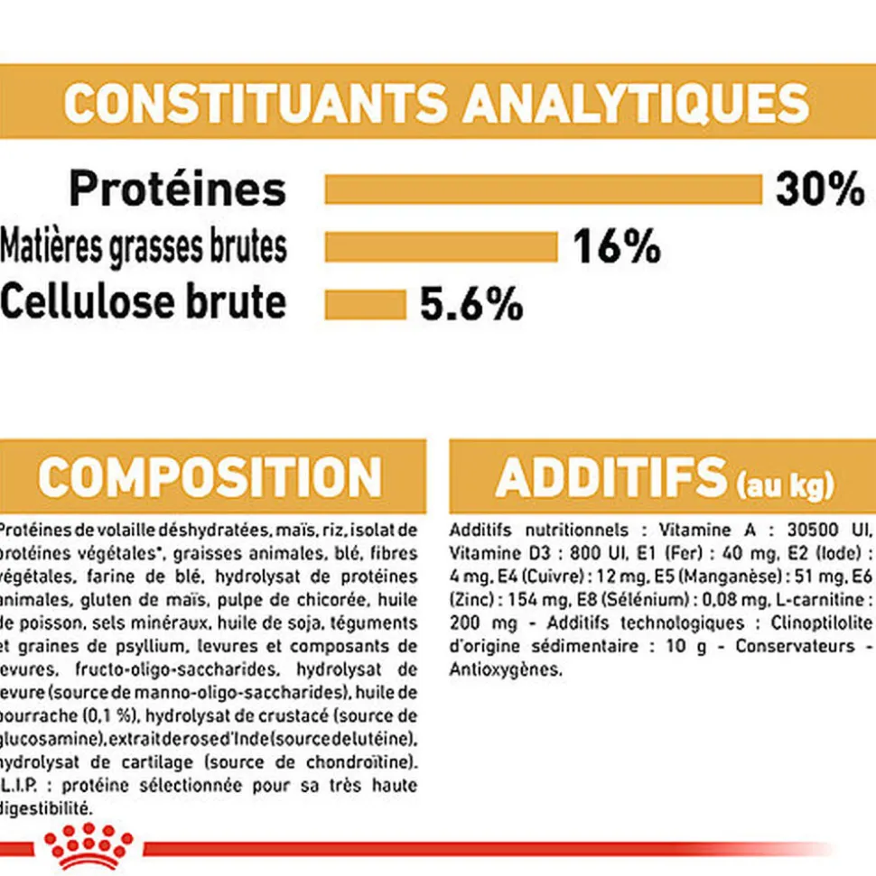 Royal Canin - Croquettes Norwegian Adult pour Chat