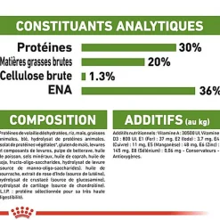 Royal Canin - Croquettes Outdoor Active Life pour Chat