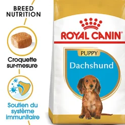 Royal Canin - Croquettes PUPPY DACHSHUND TECKEL POUR CHIOTS - 1,5kg