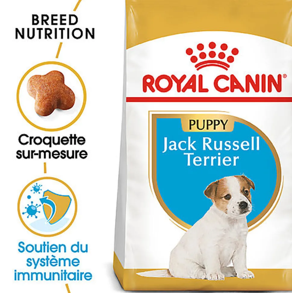 Royal Canin - Croquettes PUPPY JACK RUSSELL TERRIER Pour CHIOT