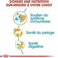 Royal Canin - Croquettes Puppy Yorkshire Terrier pour Chiot