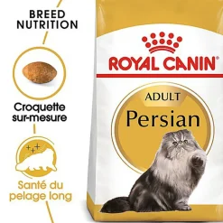 Royal Canin - Croquettes Persian pour Chat Adulte à partir de 12 Mois