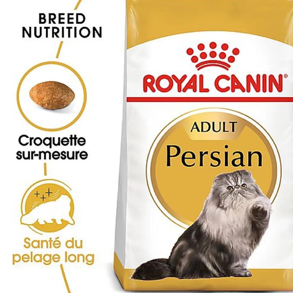 Royal Canin - Croquettes Persian pour Chat Adulte à partir de 12 Mois