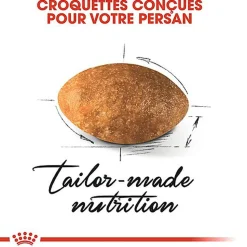 Royal Canin - Croquettes Persian pour Chat Adulte à partir de 12 Mois