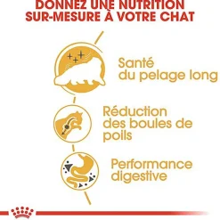 Royal Canin - Croquettes Persian pour Chat Adulte à partir de 12 Mois