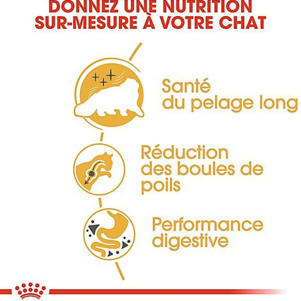 Royal Canin - Croquettes Persian pour Chat Adulte à partir de 12 Mois