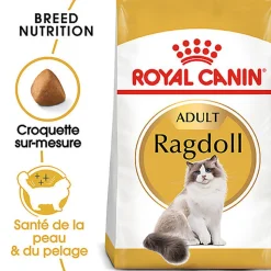 Royal Canin - Croquettes Ragdoll Adult Pour Chat